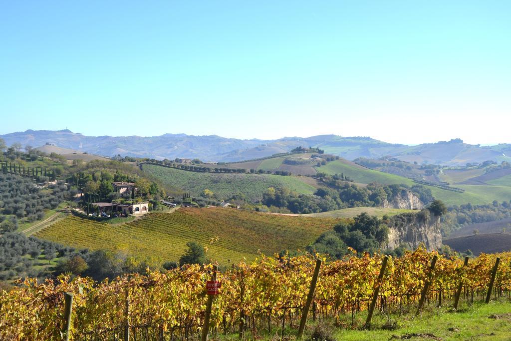Agriturismo Fiorano 코시냐노 외부 사진