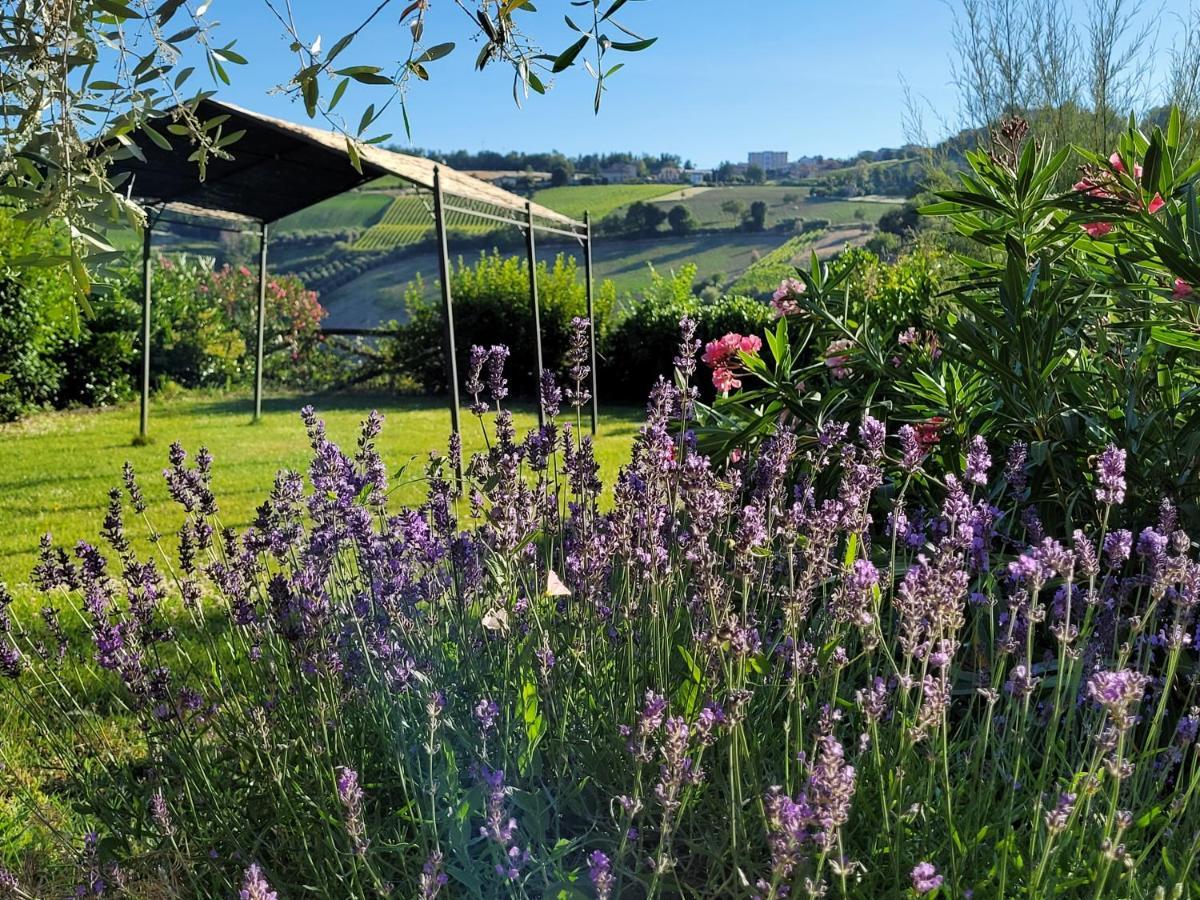 Agriturismo Fiorano 코시냐노 외부 사진