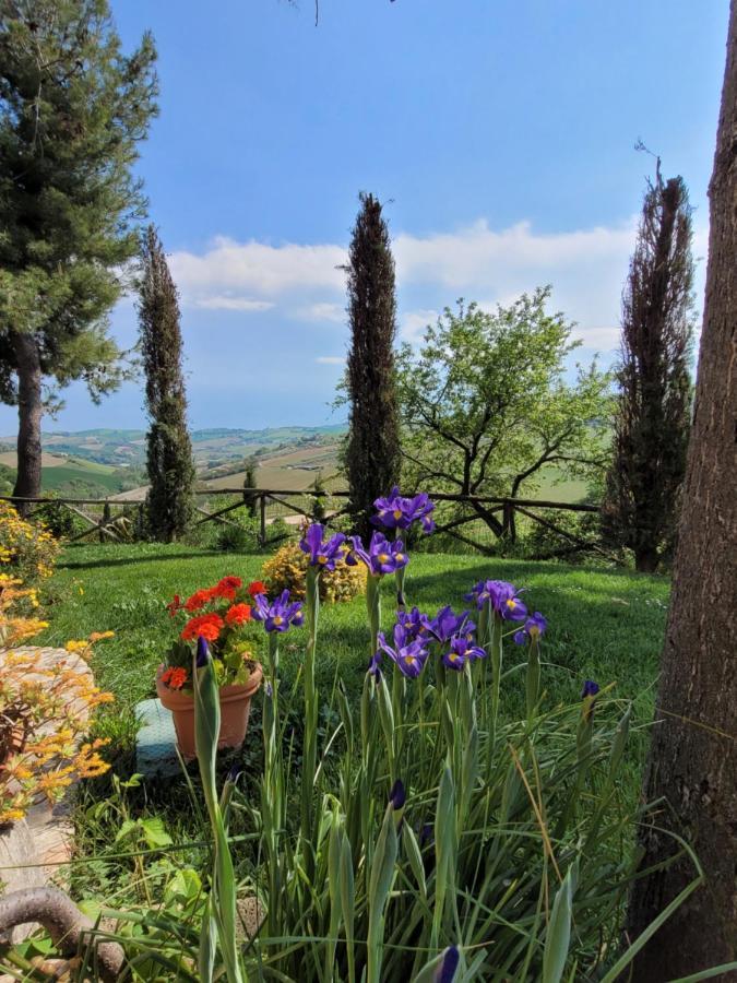 Agriturismo Fiorano 코시냐노 외부 사진