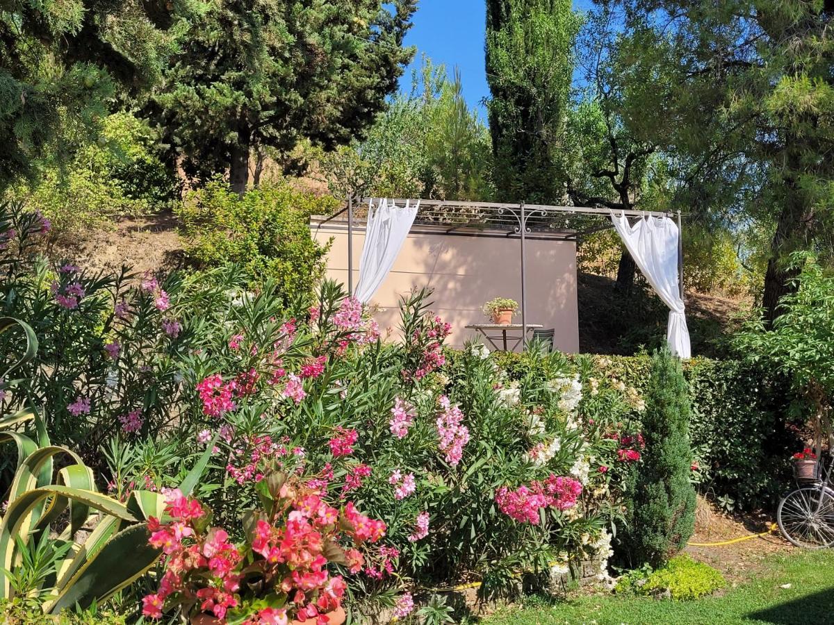 Agriturismo Fiorano 코시냐노 외부 사진