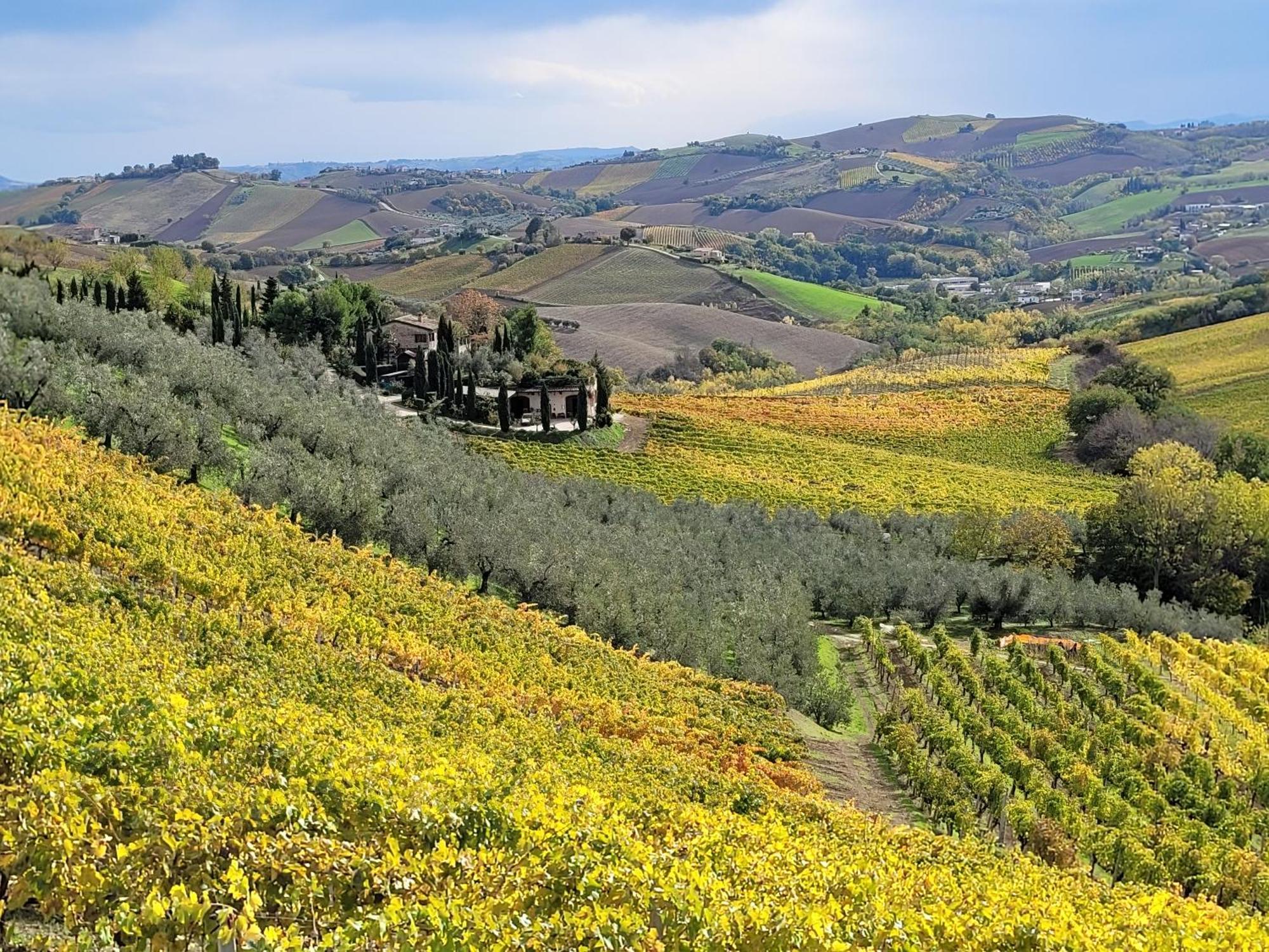 Agriturismo Fiorano 코시냐노 외부 사진