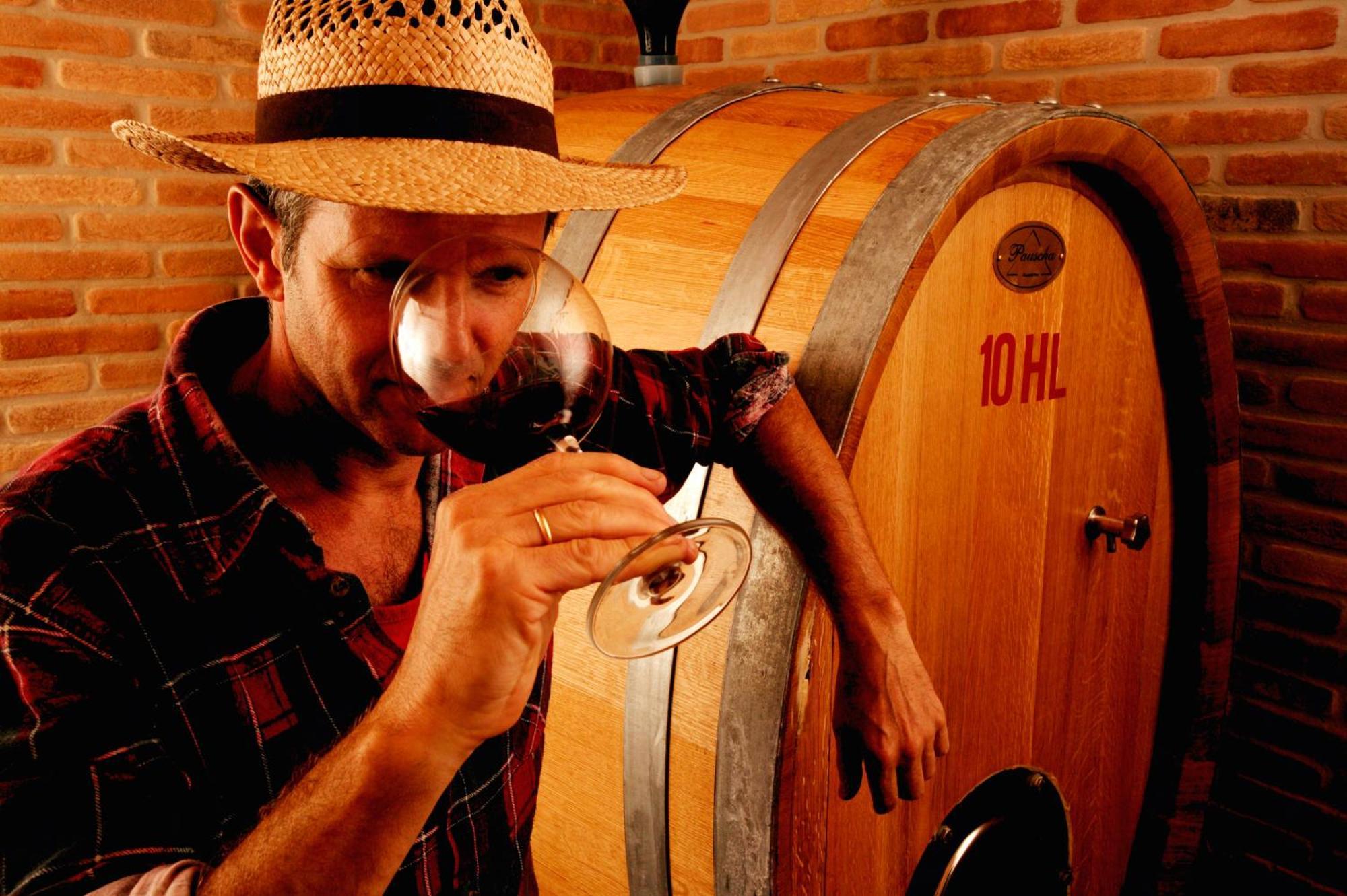 Agriturismo Fiorano 코시냐노 외부 사진