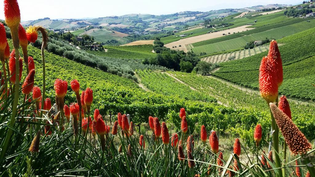 Agriturismo Fiorano 코시냐노 외부 사진